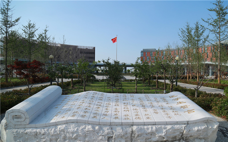 海南省康养旅游协会助力盈滨半岛树立“康养+”品牌”